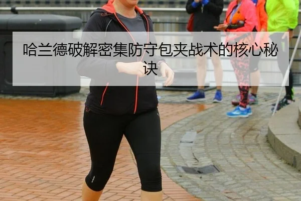 ha-lan-de-po-jie-mi-ji-fang-shou-bao-jia-zhan-shu-de-he-xin-mi-jue-2-386.jpg
