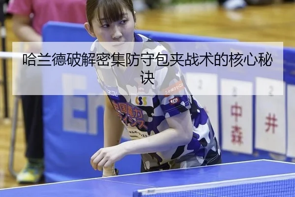 ha-lan-de-po-jie-mi-ji-fang-shou-bao-jia-zhan-shu-de-he-xin-mi-jue-3-300.jpg